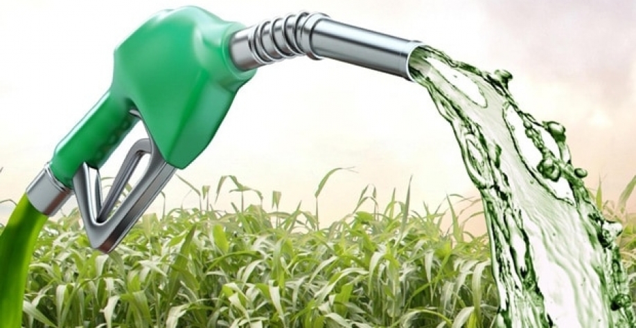 Etanol: Anidro cai 0,22% e hidratado sobe 1,01% nas usinas paulistas