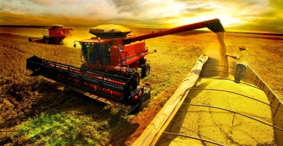 Produção e plantio de soja deve bater recorde na safra 2021/22 