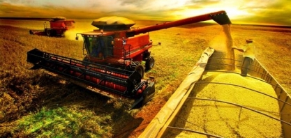 Produção e plantio de soja deve bater recorde na safra 2021/22 