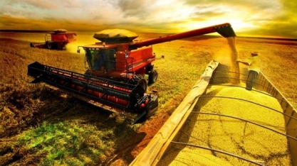 Produção e plantio de soja deve bater recorde na safra 2021/22 