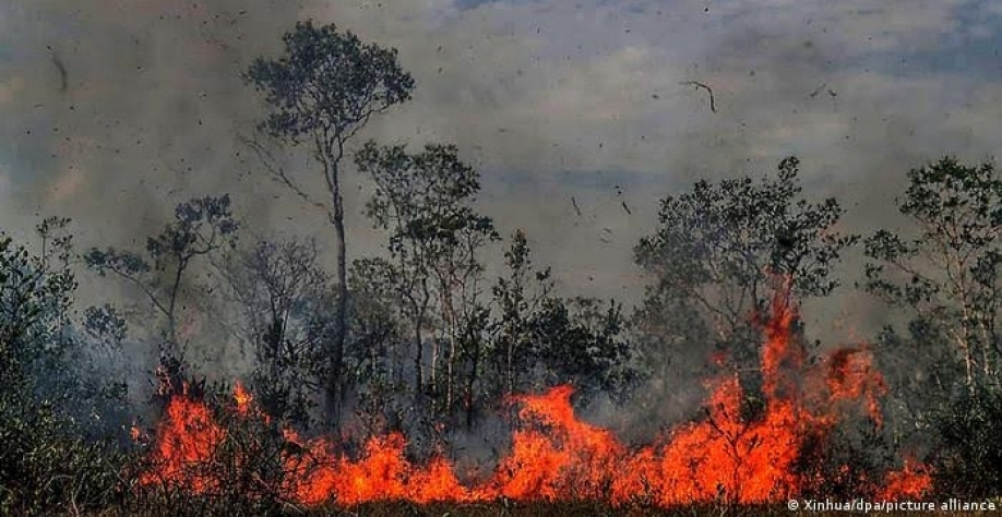 Como previsões mais pessimistas para Amazônia já se confirmam