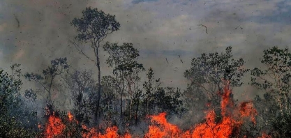Como previsões mais pessimistas para Amazônia já se confirmam