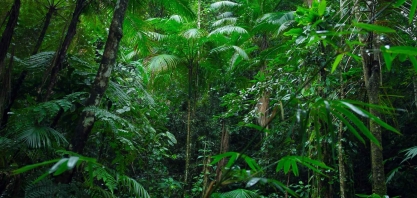 Sabia que os produtores rurais protegem 20,5% das áreas nativas do Brasil?