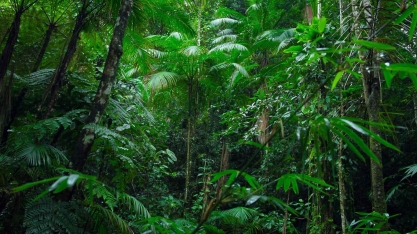 Sabia que os produtores rurais protegem 20,5% das áreas nativas do Brasil?