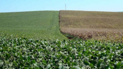 Agronegócio tem recorde de importações