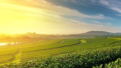 Exportação do agronegócio atinge em junho recorde de US$ 12,11 bi, + 25% 