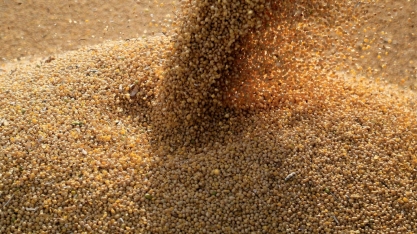 China reduz esmagamento de soja e importa menos grãos do Brasil em junho