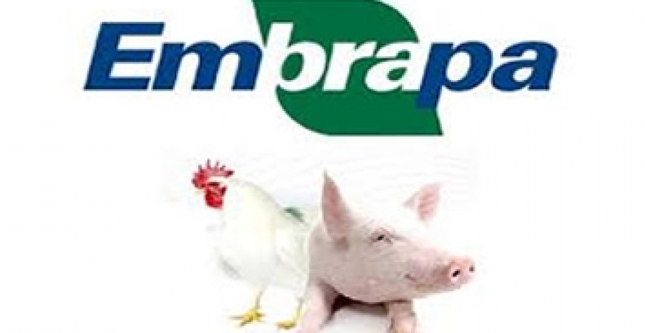 Custo de produção em junho cai depois de 2 meses seguidos de aumento