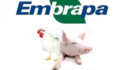 Custo de produção em junho cai depois de 2 meses seguidos de aumento