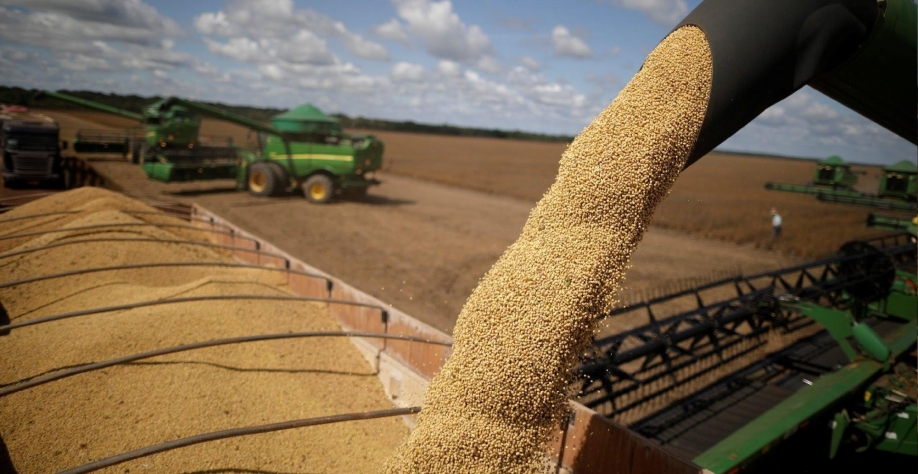 Anec confirma previsão de exportações menores de soja e milho em julho