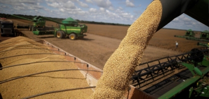Anec confirma previsão de exportações menores de soja e milho em julho