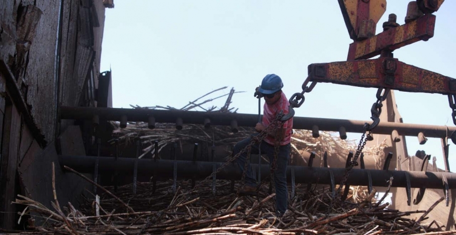 Jalles Machado reverte prejuízo e tem lucro no 1º tri de 2021/22