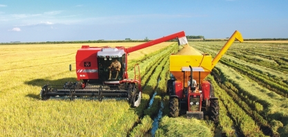 Indústria da ração compra mais arroz; consumidor deve sentir alta de preço