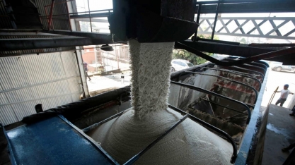 Egito compra 200 mil toneladas de açúcar bruto brasileiro