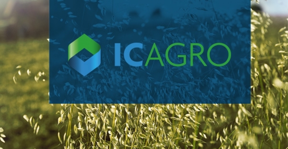 Índice de confiança do agronegócio cresce no segundo trimestre 