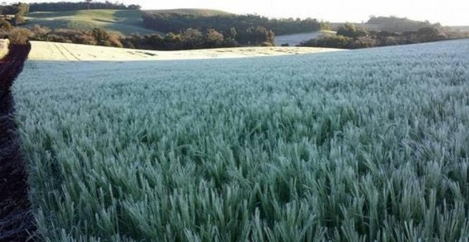 Nova massa de ar polar derruba temperaturas; veja onde vai esfriar mais