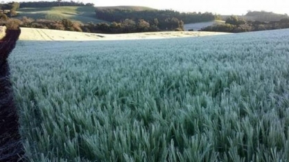 Nova massa de ar polar derruba temperaturas; veja onde vai esfriar mais