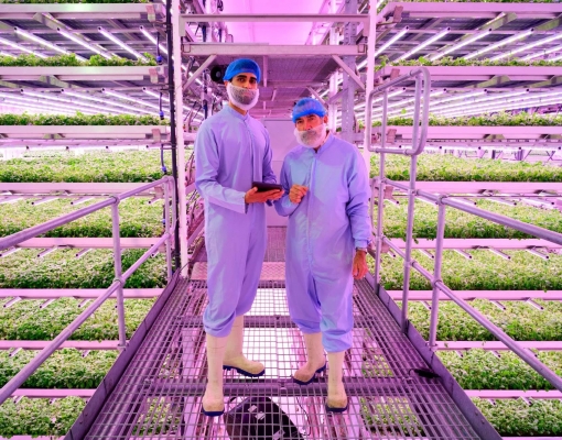 Como a bioeconomia circular pode combater a crise climática