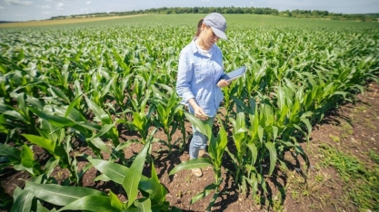 Agricultura Regenerativa: a próxima grande tendência no varejo de alimentos
