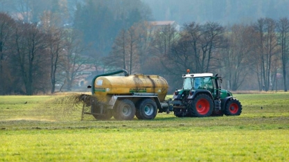 Biocarvão de estrume pode ser a chave para a agricultura sustentável