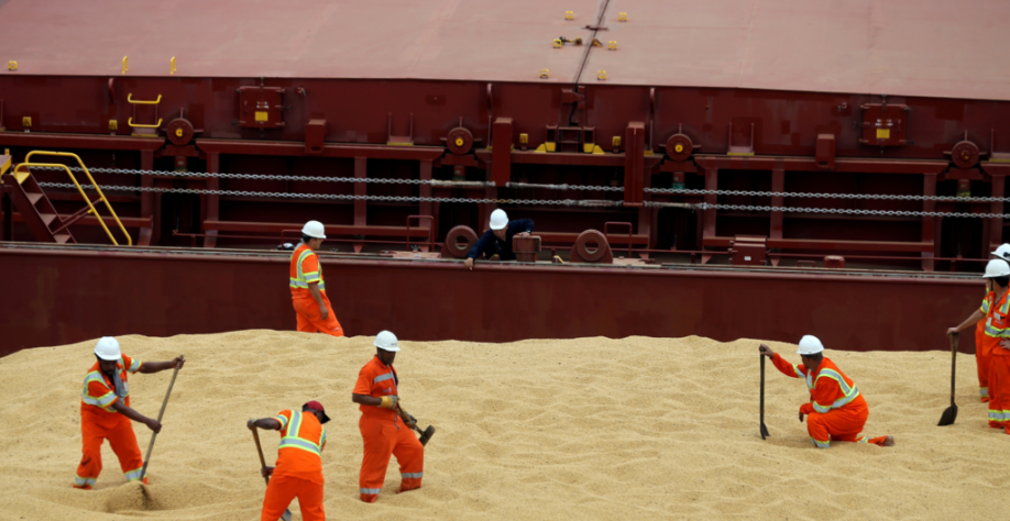 Exportação de soja em agosto pode superar volume do mês em 2020