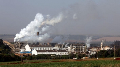 São Martinho tem lucro líquido de R$ 190,1 mi no 1º tri fiscal de 2021/22