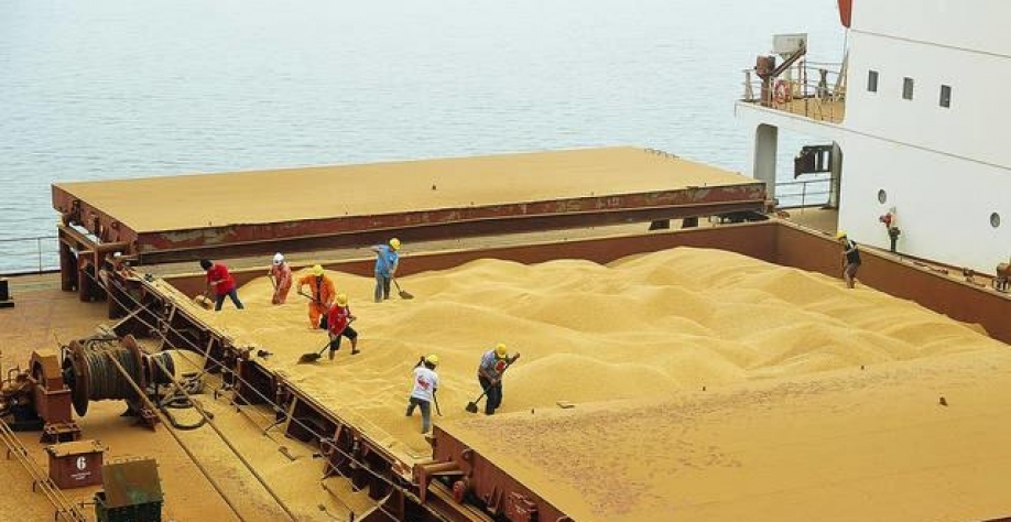 Anec eleva projeção de exportações de soja e milho em agosto
