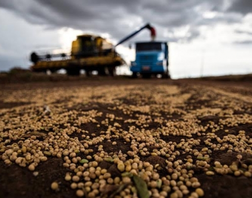 China pisa no freio, e Brasil poderá não ter exportação recorde de soja