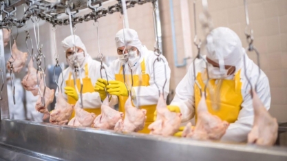 BRF avalia que levará tempo para preços refletirem alta de custos de grãos