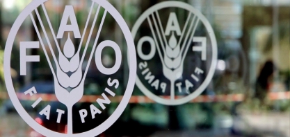 Preços dos alimentos no mundo caem pelo segundo mês em julho, diz FAO