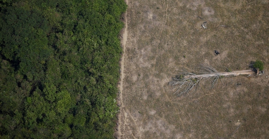 Desmatamento cai 4% na Amazônia; aumenta nas áreas de proteção ambiental