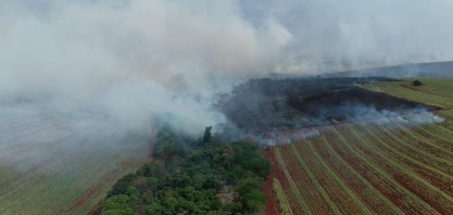Unica prevê quebra histórica de 75 mi de toneladas de cana no Centro-Sul