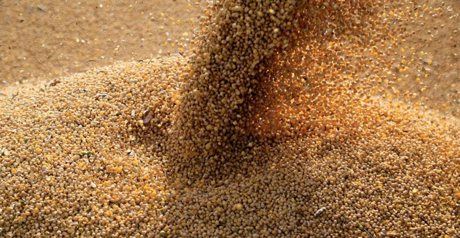 Importações de soja brasileira pela China caem em julho com margens fracas