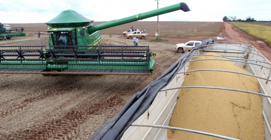 Custo de produção de soja crescerá 48,5% na safra 2021/22 e milho 52,01%