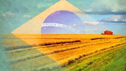 Frustração de safra confirma projeção de PIB do agro apenas estável