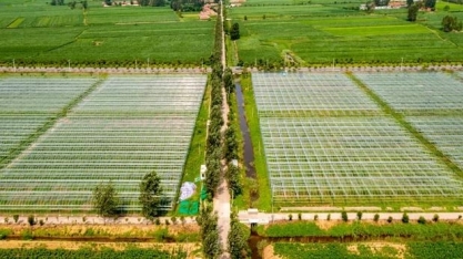  Total de terras agricultáveis da China diminui quase 6% entre 2009 e 2019