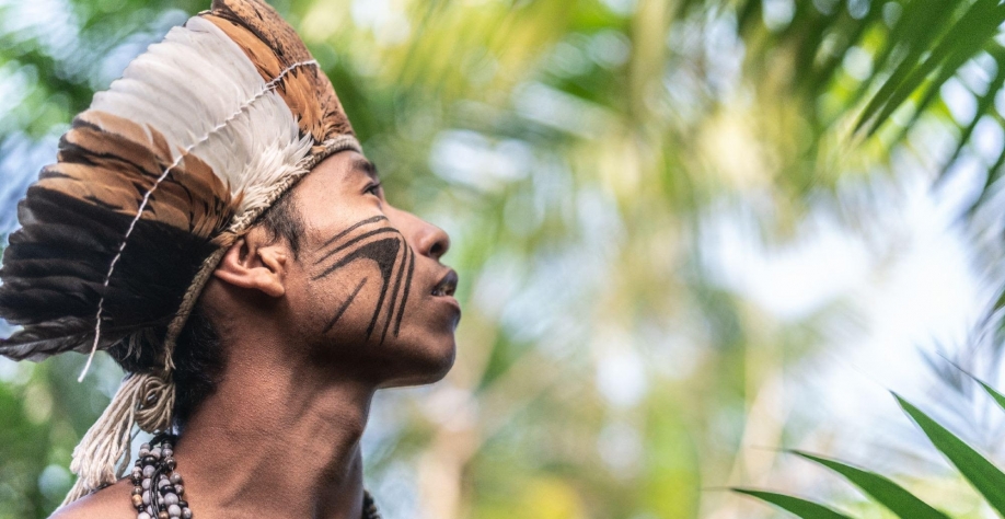 Matas ocupam 59,7% do território; reservas indígenas as mais preservadas