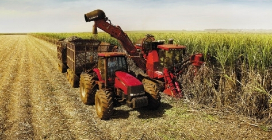 Produtividade menor da cana provoca preços recordes dos derivados