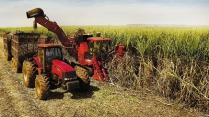 Produtividade menor da cana provoca preços recordes dos derivados