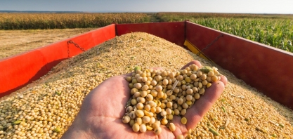 Conab prevê safra de soja 2021/22 em141,26 mi de t e milho em recuperação
