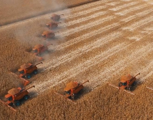 Safra de grãos será recorde, mas pressão sobre os alimentos continua
