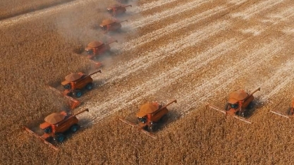Safra de grãos será recorde, mas pressão sobre os alimentos continua