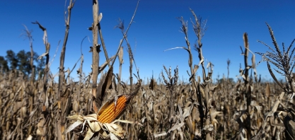 La Niña ameaça safras de grãos e logísticas de exportação da Argentina