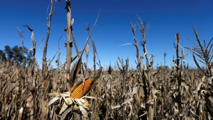 La Niña ameaça safras de grãos e logísticas de exportação da Argentina