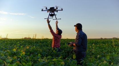 4 agtechs para tornar a soja mais sustentável no Cerrado