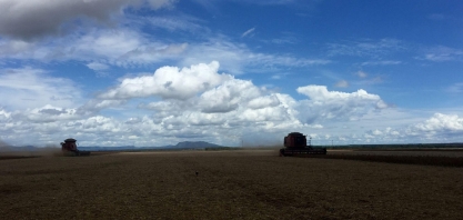 Inadimplência de produtor rural é menos da metade do índice geral
