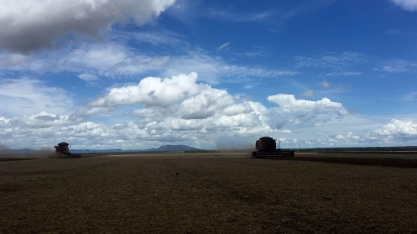 Inadimplência de produtor rural é menos da metade do índice geral