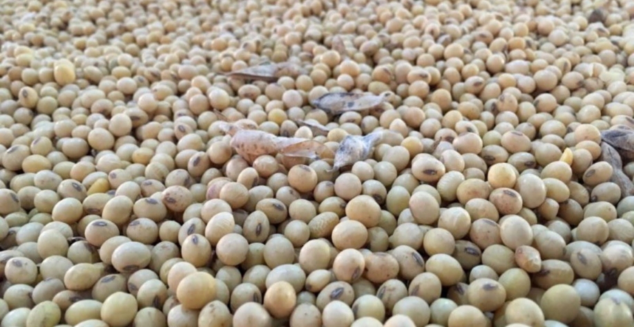 StoneX estima safras maiores no Brasil para soja e milho verão em 2021/22