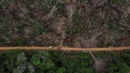 Organizações farão apelo na ONU contra 