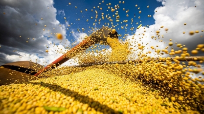 Produção agrícola brasileira bate recorde em 2020 com demanda aquecida